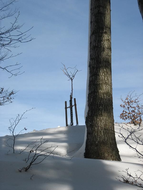 2010 02 09 A